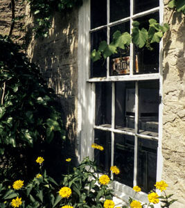 Old Window and Flowers